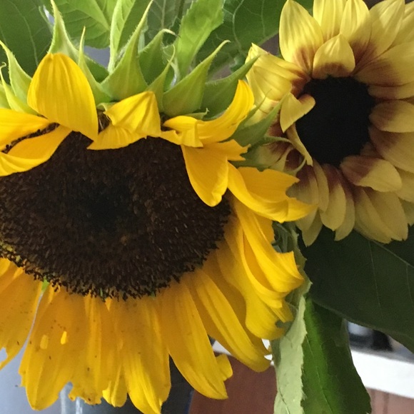 Meet your Posher, Elizabeth - Picture 1 of 1